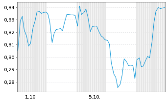 Chart Mini Future Short Duerr - 1 Monat