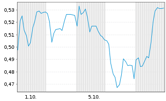 Chart Mini Future Short Duerr - 1 Monat