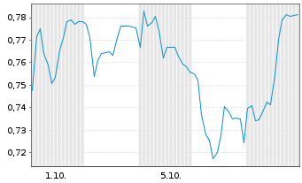 Chart Mini Future Short Duerr - 1 Monat