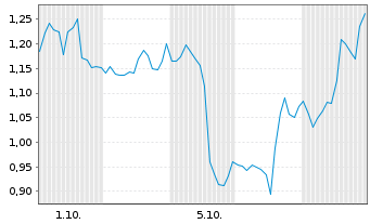 Chart Mini Future Short Cloudflare - 1 Monat
