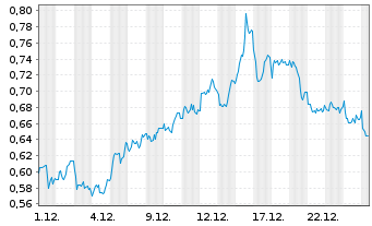 Chart Mini Future Short Shell - 1 Monat