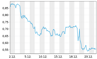 Chart Mini Future Short Duerr - 1 Monat