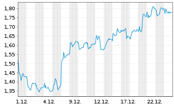 Chart Mini Future Long FinTech Group - 1 Monat