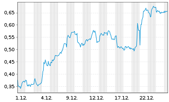 Chart Mini Future Long Duerr - 1 Monat