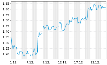 Chart Mini Future Long FinTech Group - 1 Monat