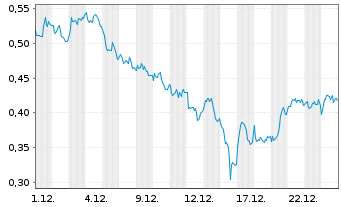 Chart Mini Future Long Shell - 1 Monat