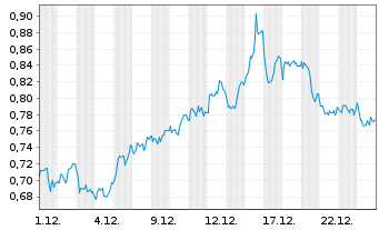 Chart Mini Future Short Shell - 1 Monat