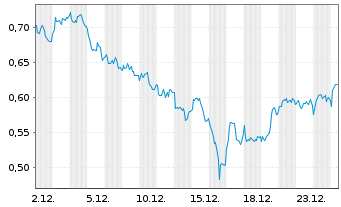 Chart Mini Future Long Shell - 1 Monat