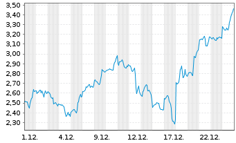 Chart Mini Future Long Micron - 1 Monat