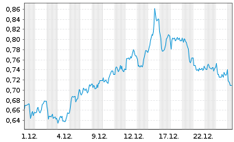 Chart Mini Future Short Shell - 1 Monat