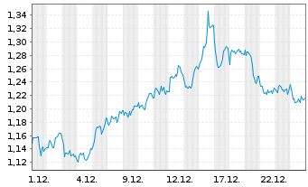 Chart Mini Future Short Shell - 1 Monat