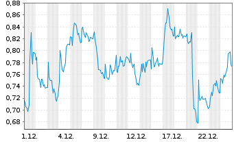 Chart Mini Future Long PVA TePla - 1 Monat