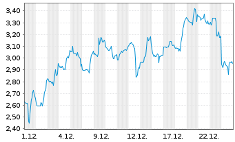 Chart Mini Future Long Standard Lithium - 1 Monat