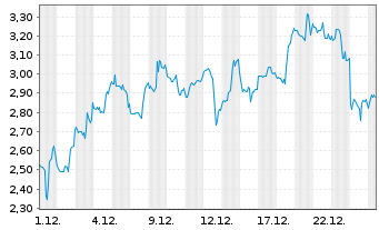 Chart Mini Future Long Standard Lithium - 1 Monat