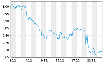 Chart Mini Future Short Duerr - 1 Monat