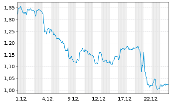Chart Mini Future Short Duerr - 1 Monat