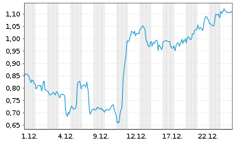 Chart Mini Future Long Visa - 1 Monat