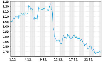 Chart Mini Future Short Visa - 1 Monat