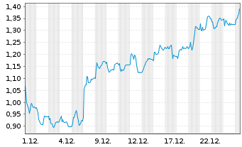 Chart Mini Future Long FinTech Group - 1 Monat