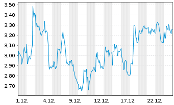 Chart Mini Future Long Adyen - 1 Monat