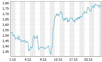 Chart Mini Future Long Visa - 1 Monat