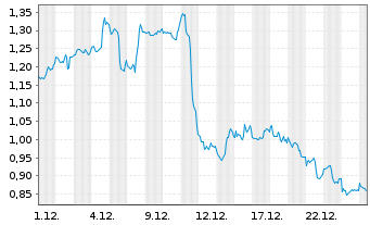Chart Mini Future Short Visa - 1 Monat