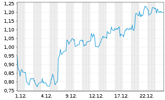 Chart Mini Future Long FinTech Group - 1 Monat