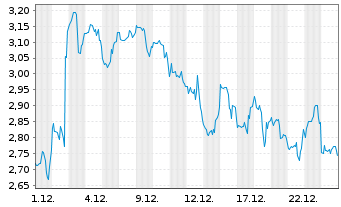 Chart Mini Future Short Block - 1 Monat