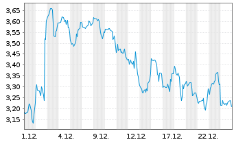 Chart Mini Future Short Block - 1 Monat