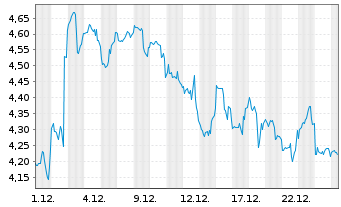 Chart Mini Future Short Block - 1 Monat