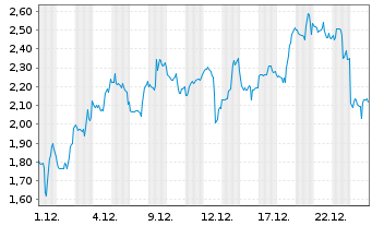 Chart Mini Future Long Standard Lithium - 1 Monat