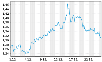 Chart Mini Future Short Shell - 1 Monat