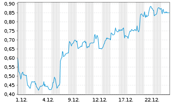 Chart Mini Future Long FinTech Group - 1 Monat