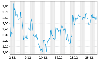 Chart Mini Future Long Adyen - 1 Monat
