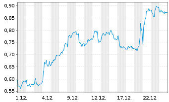 Chart Mini Future Long Duerr - 1 Monat