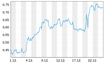 Chart Mini Future Long Duerr - 1 Monat