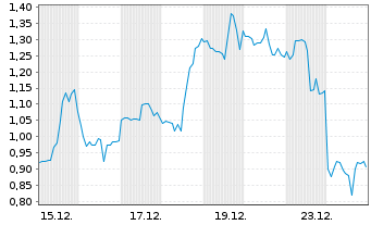 Chart Mini Future Long Standard Lithium - 1 Monat