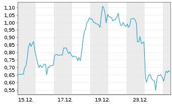 Chart Mini Future Long Standard Lithium - 1 Monat