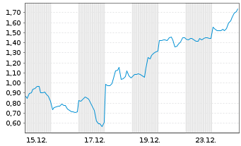 Chart Mini Future Long Micron - 1 Monat