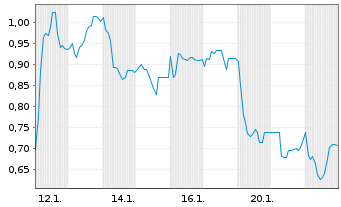 Chart Mini Future Long IBU-tec advanced materials - 1 Monat