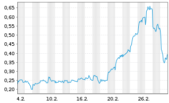 Chart Mini Future Long FACC - 1 Monat