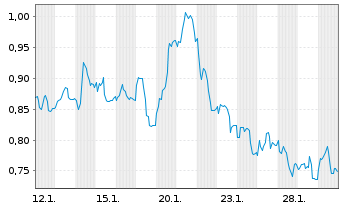Chart Mini Future Short 1&1 - 1 Monat