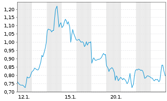 Chart Mini Future Long Microstrategy - 1 Monat