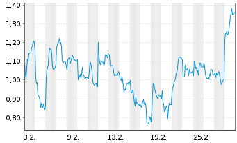 Chart Mini Future Short BMW - 1 Monat