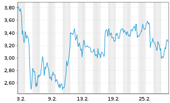 Chart Mini Future Long Micron - 1 Monat