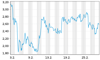 Chart Mini Future Long Micron - 1 Monat