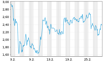 Chart Mini Future Long Micron - 1 Monat