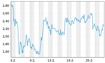 Chart Mini Future Long Micron - 1 Monat