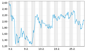 Chart Mini Future Long Micron - 1 Monat