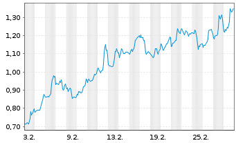 Chart Mini Future Long Realty Income - 1 Monat